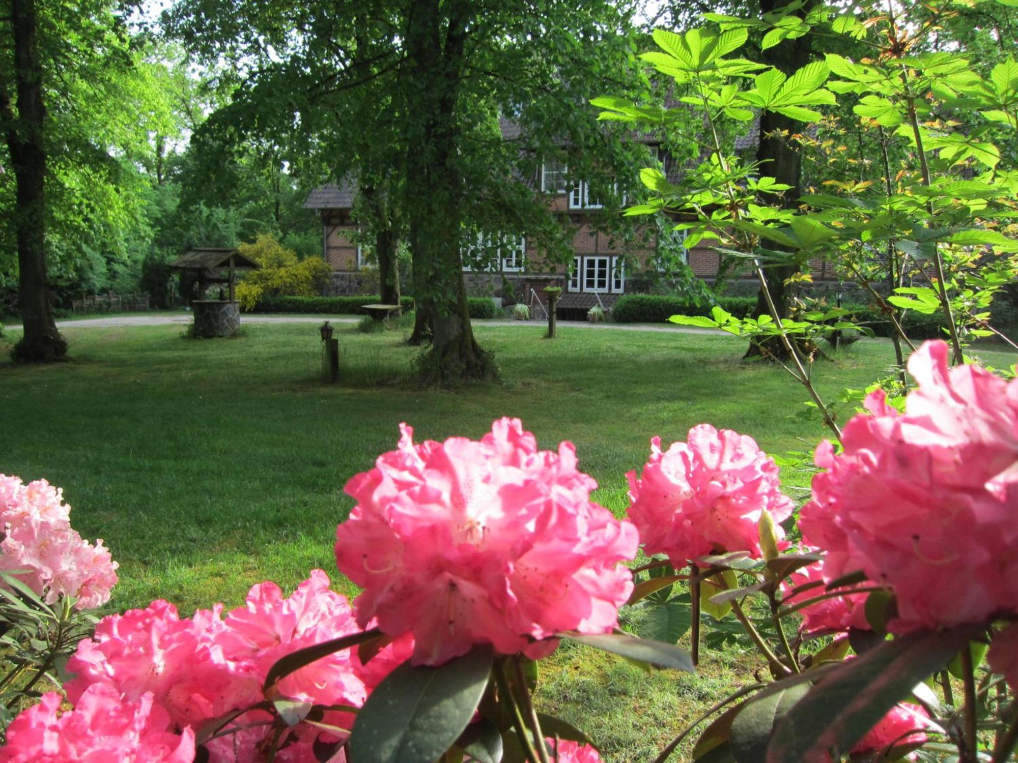 Haus Heidetal Bed and Breakfast Bispingen Exteriör bild